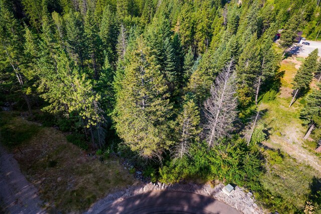 48 Bridle Ct, Bigfork, MT 59911