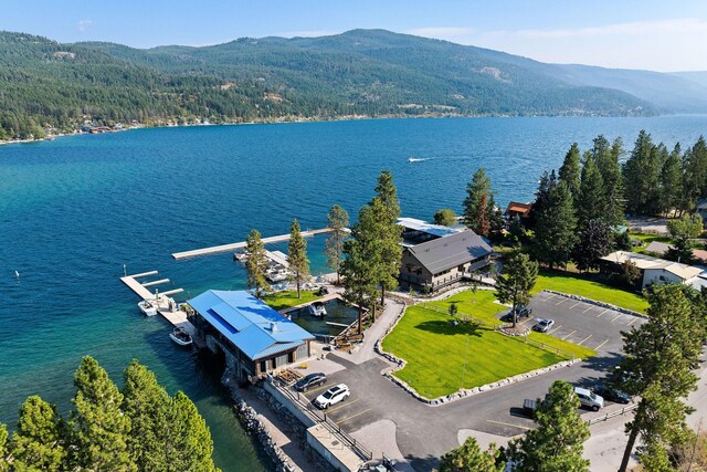 48 Bridle Ct, Bigfork, MT 59911