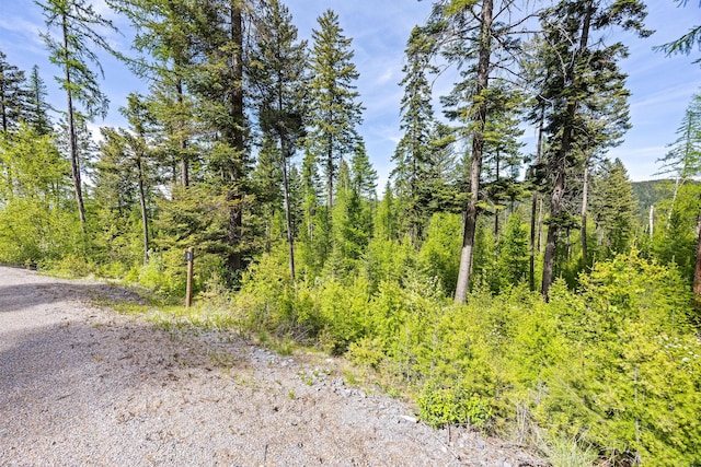 397 Saddlehorn Trl, Bigfork, MT 59911