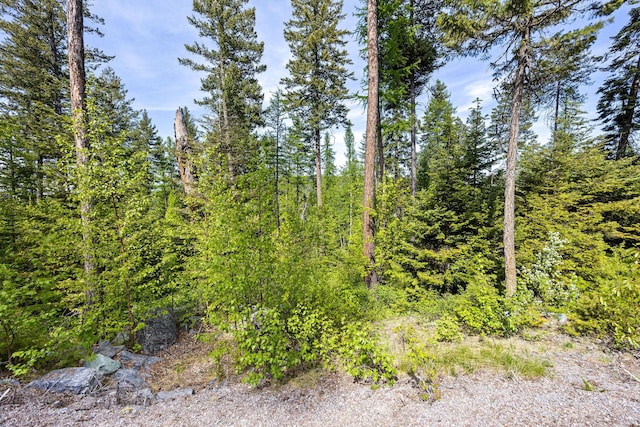 397 Saddlehorn Trl, Bigfork, MT 59911