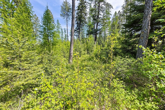 397 Saddlehorn Trl, Bigfork, MT 59911
