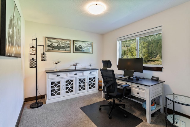 21087 Pamin Loop, Clinton, MT 59825 - office area with carpet and baseboards