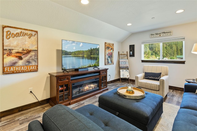 21087 Pamin Loop, Clinton, MT 59825 - living area with lofted ceiling, wood finished floors, recessed lighting, and a glass covered fireplace