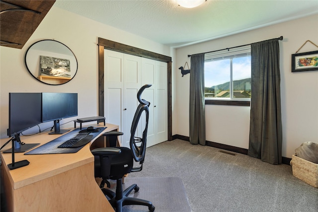 21087 Pamin Loop, Clinton, MT 59825 - office space with light colored carpet and baseboards