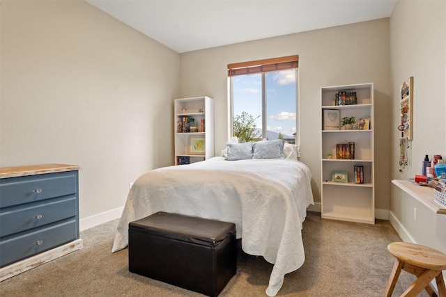 1317 Creekside Dr, Stevensville, MT 59870 - carpeted bedroom with baseboards
