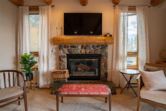 281 Eagle Bend Dr, Bigfork, MT 59911 - living area featuring a stone fireplace and a baseboard radiator