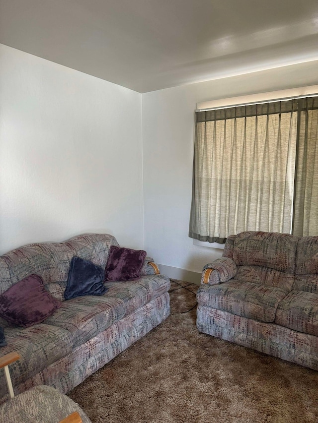 508-510 W Platinum St, Butte, MT 59701 - view of carpeted living room