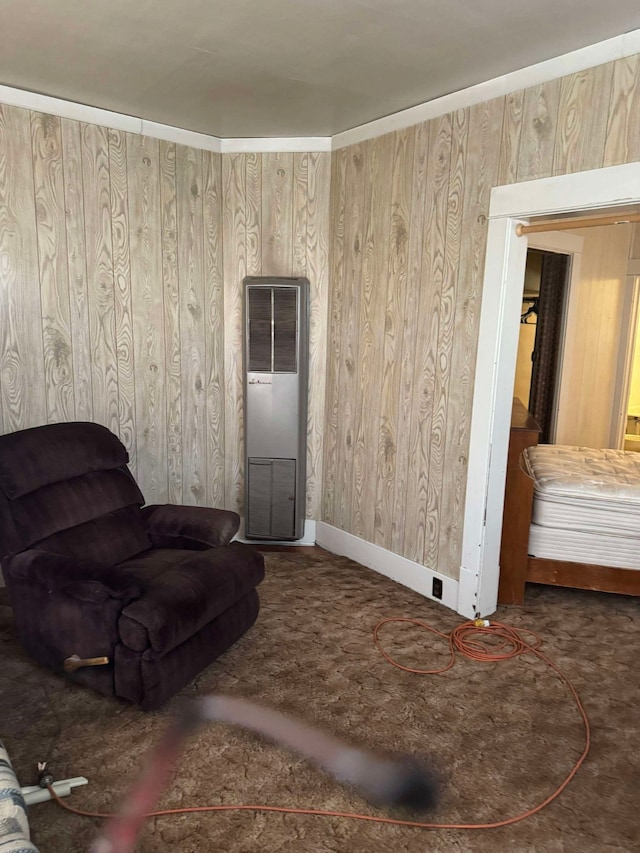508-510 W Platinum St, Butte, MT 59701 - sitting room with a heating unit, carpet flooring, and wooden walls