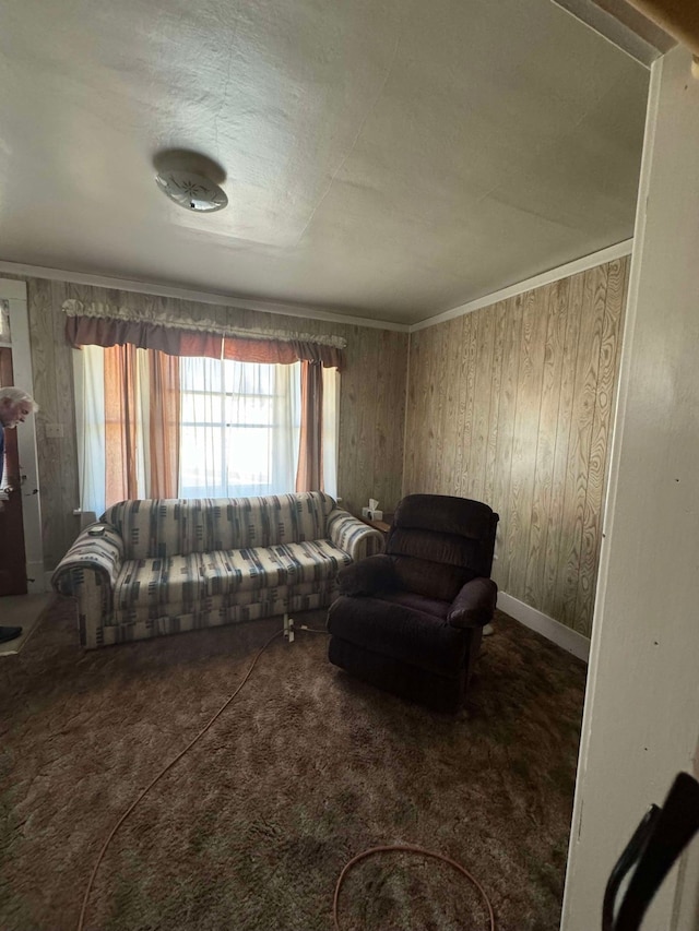 508-510 W Platinum St, Butte, MT 59701 - carpeted living room featuring healthy amount of natural light and wood walls