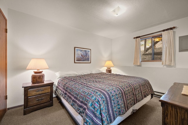 74 Limber Pne, Whitefish, MT 59937 - bedroom featuring carpet, a baseboard radiator, and a textured ceiling