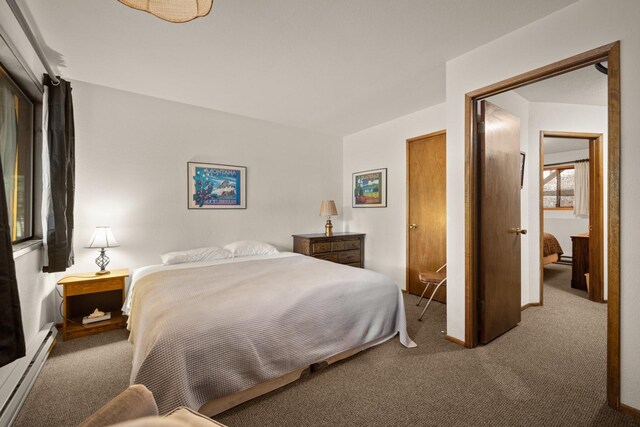 74 Limber Pne, Whitefish, MT 59937 - bedroom featuring baseboard heating and carpet flooring
