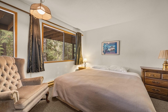74 Limber Pne, Whitefish, MT 59937 - view of carpeted bedroom