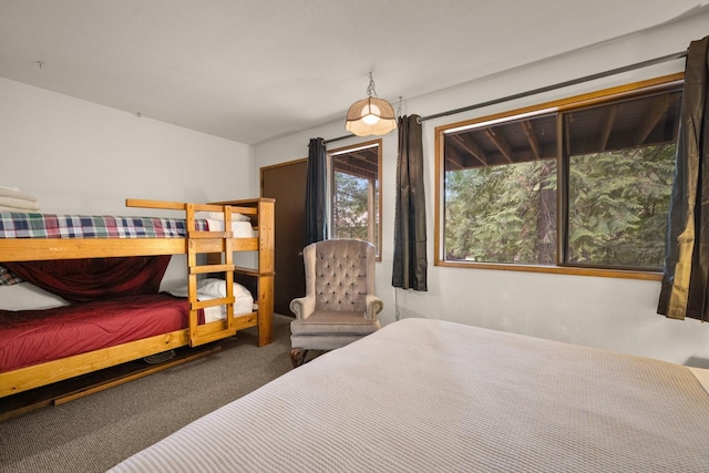 74 Limber Pne, Whitefish, MT 59937 - bedroom with carpet