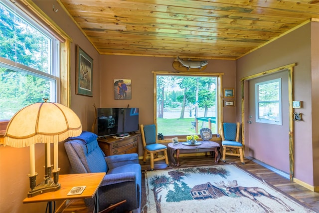 1500 River Rd W, Plains, MT 59859 - living room featuring wooden ceiling, wood finished floors, and baseboards
