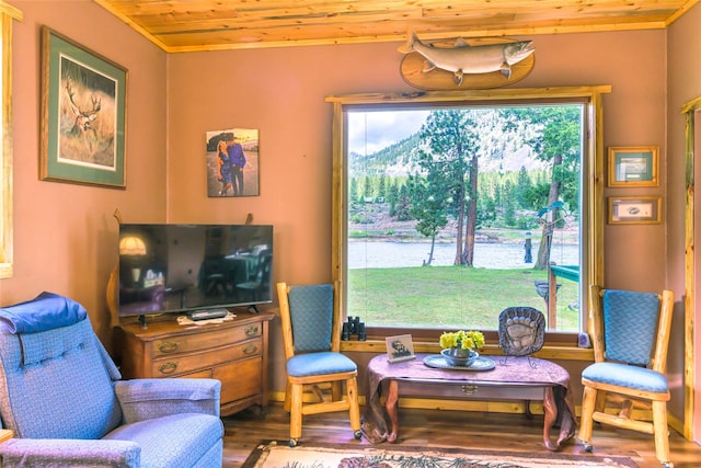 1500 River Rd W, Plains, MT 59859 - living area with wood ceiling and wood finished floors