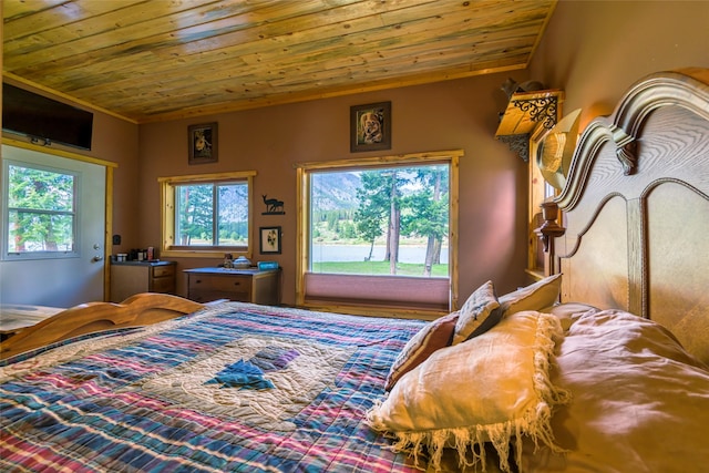 1500 River Rd W, Plains, MT 59859 - bedroom with wood ceiling