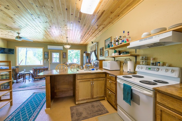 1500 River Rd W, Plains, MT 59859 - kitchen featuring white appliances, under cabinet range hood, wooden ceiling, a peninsula, and brown cabinets