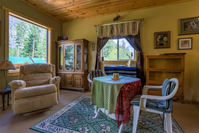 1500 River Rd W, Plains, MT 59859 - living area with plenty of natural light and wooden ceiling
