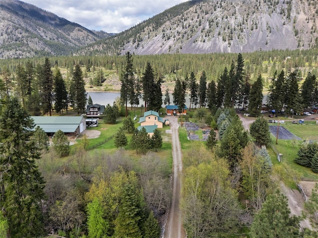 1500 River Rd W, Plains, MT 59859 - view of subject property featuring a heavily wooded area and a water and mountain view