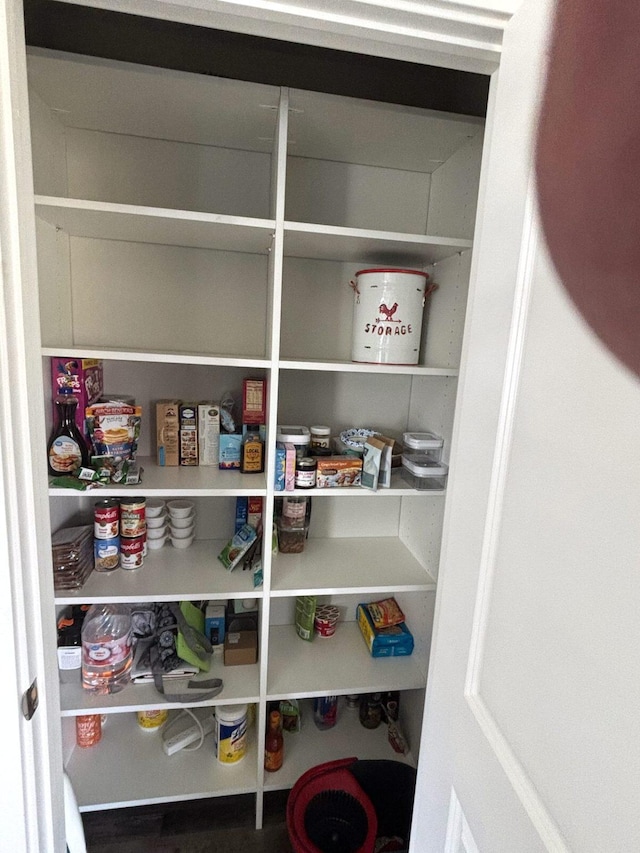 2195 Black Bird Ln, Kalispell, MT 59901 - view of pantry