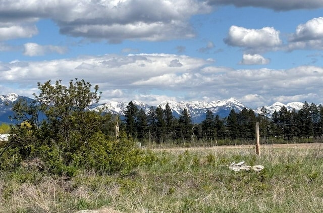 2195 Black Bird Ln, Kalispell, MT 59901 - mountain view featuring a heavily wooded area