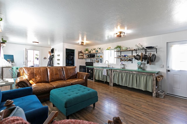 4358 Charlotte Way, Stevensville, MT 59870 - living room with dark wood-style flooring and a textured ceiling