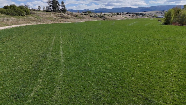 4358 Charlotte Way, Stevensville, MT 59870 - view of green lawn featuring a mountain view and a view of rural / pastoral area