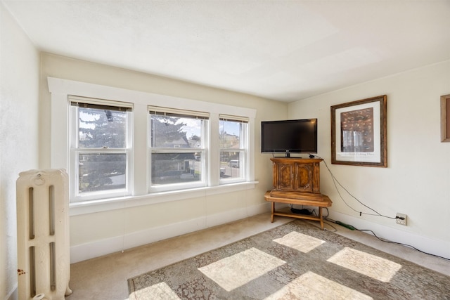 unfurnished room with carpet flooring