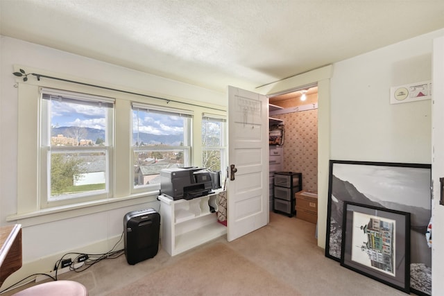 living area featuring light colored carpet