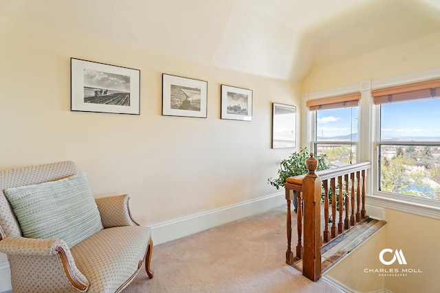 202 Blake St, Helena, MT 59601 - living area with carpet, baseboards, and lofted ceiling