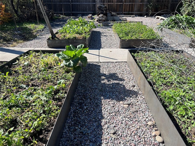 exterior view of a vegetable garden and fence