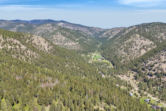 11327 Sleeman Ln, Lolo, MT 59847 - mountain view featuring a forest