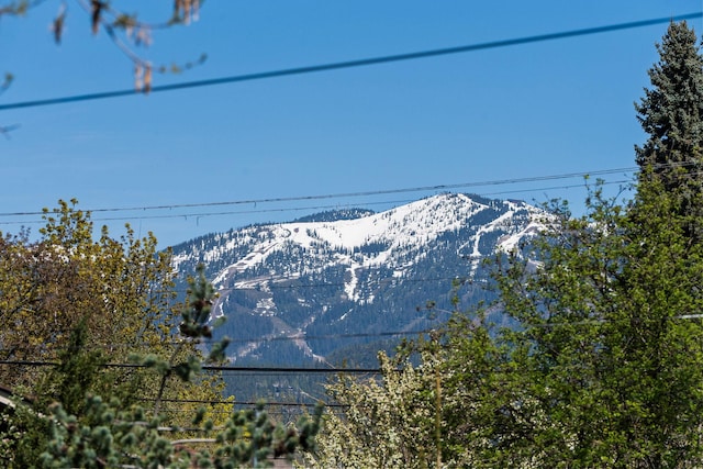 427 Somers Ave, Whitefish, MT 59937 - mountain view