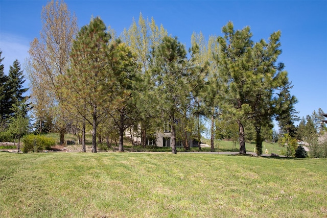 558 Talbot Rd, Columbia Falls, MT 59912