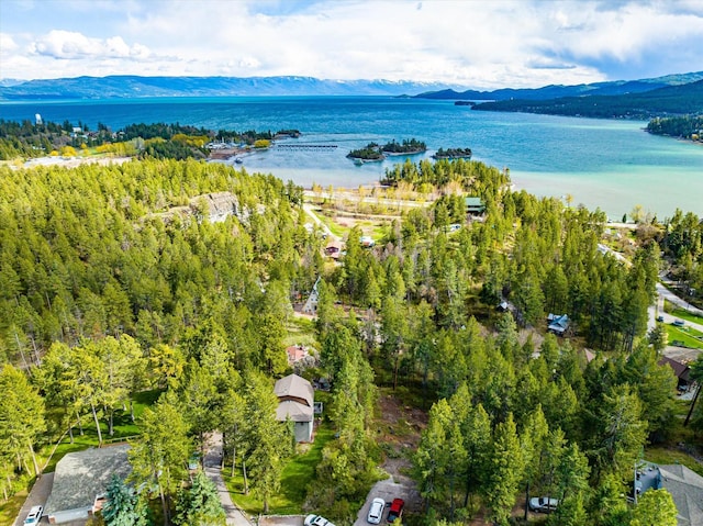 bird's eye view of a water and mountain view