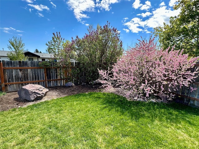 146 New Meadows Dr, Missoula, MT 59808 - view of yard
