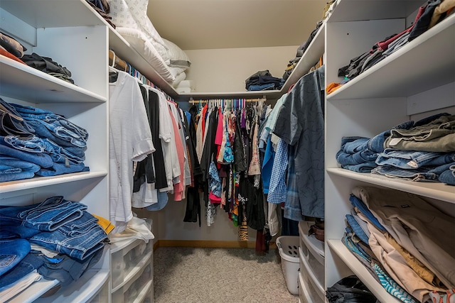 36496 Ridgeway Ct, Polson, MT 59860 - walk in closet with carpet floors