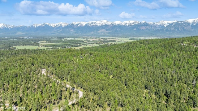 720 Swan Hill Dr, Bigfork, MT 59911 - view of mountain backdrop featuring a heavily wooded area