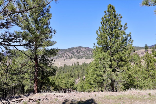 view of mountain background featuring a heavily wooded area