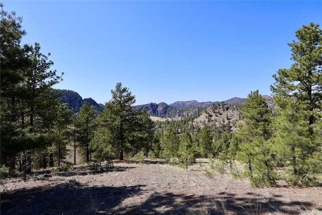 view of mountain background with a heavily wooded area