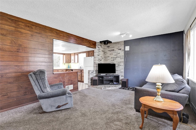 1320 1st Ave S, Great Falls, MT 59401 - living room featuring a textured ceiling, healthy amount of natural light, and carpet floors