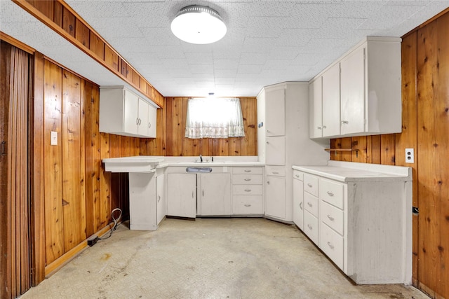 1320 1st Ave S, Great Falls, MT 59401 - laundry area with wood walls and a sink