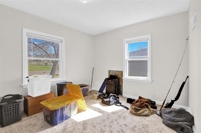 1320 1st Ave S, Great Falls, MT 59401 - game room featuring carpet flooring, healthy amount of natural light, baseboards, and a textured ceiling