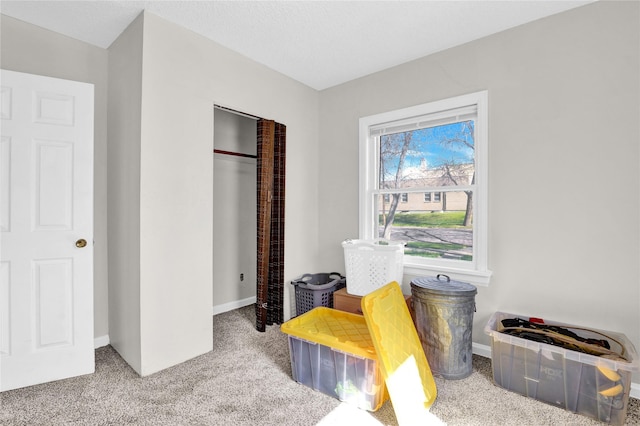1320 1st Ave S, Great Falls, MT 59401 - recreation room with carpet and baseboards
