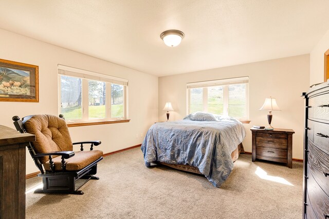 bedroom featuring multiple windows, carpet, and baseboards