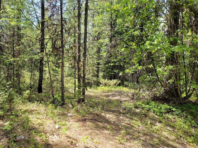 NHN Butcher Creek Road, Trego, MT 59934