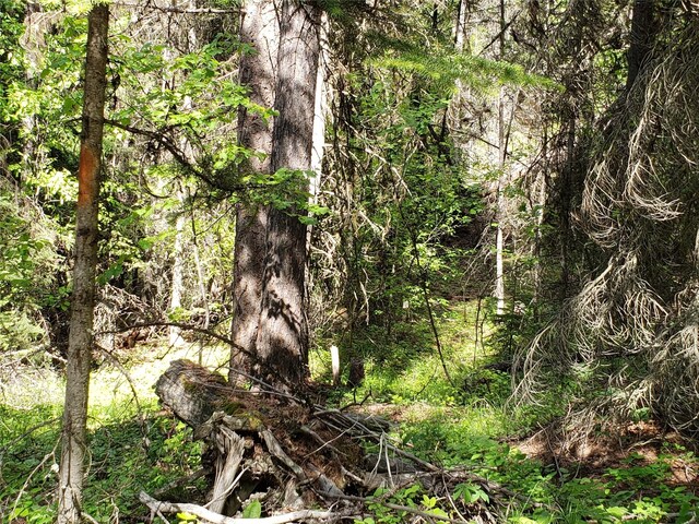 NHN Butcher Creek Road, Trego, MT 59934