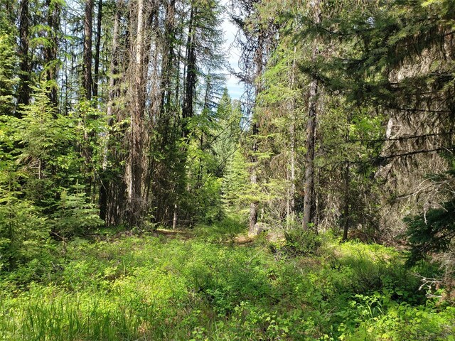NHN Butcher Creek Road, Trego, MT 59934