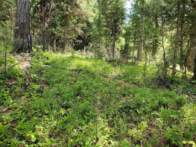 NHN Butcher Creek Road, Trego, MT 59934