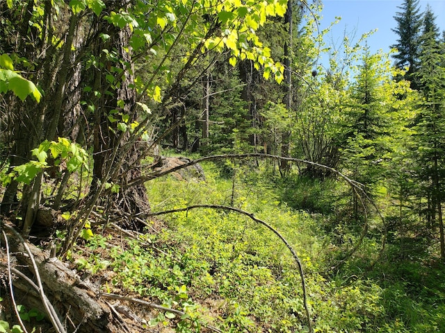 NHN Butcher Creek Road, Trego, MT 59934